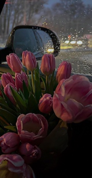 Coline🪼🫧🪞 la Best ! ❤️'s avatar