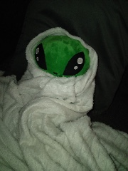 owner!! ⭐️☘️'s avatar