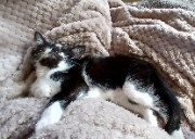 M.ikado 🤓's avatar