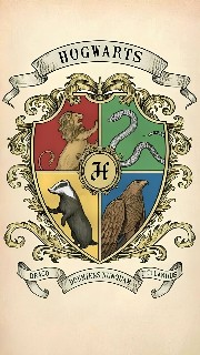 Potter fan ✨🧙‍♂️'s avatar