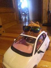 Sara❤️‍🔥💚's avatar