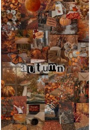 Aesthetic Clean Girls's avatar