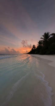 #parlemoi💖's avatar