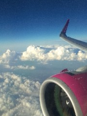 Nenina💜💜💜💜💜💜's avatar