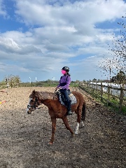 TildiLoveHorses 's avatar