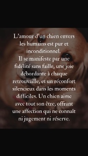 🐕🐶🐾Dog life🐾🐶🐕's avatar