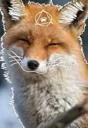 Ur Fav Therians 's avatar