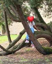 The rookie fan's avatar