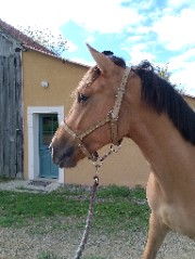 Syann 😜🐕's avatar