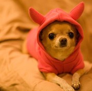 Athena74700🎶🧸's avatar