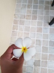 Froyo🧸🎀💗's avatar