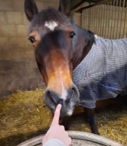 Tillylover 😘's avatar