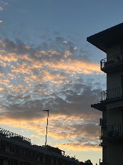 le super chicchee🫶🏻's avatar