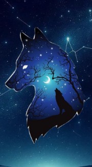 ꧁☾⋆🧿☁︎🌀𝐀𝐫𝐚𝐬𝐡𝐢🌠✩˚🔮꧂'s avatar