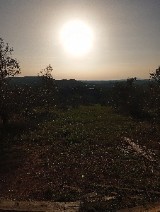 Mega sponsor ★'s avatar