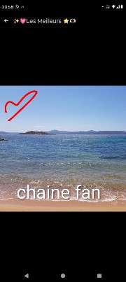 Zoe et ses alezans's avatar