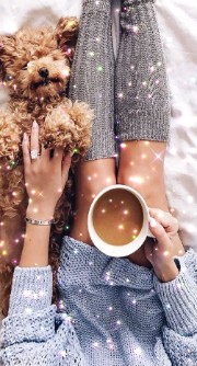 🪩🫧Prune🫧🪩's avatar