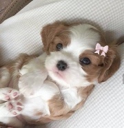 Glow up ✨'s avatar