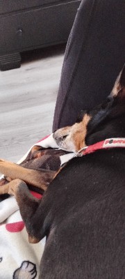 🥰🤪grwm girly♥️🤗's avatar