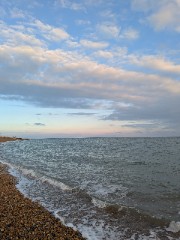 Harmony house ✨'s avatar