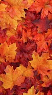 Adèle 🫠's avatar