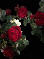 Jade🏎️🐆🥥's avatar