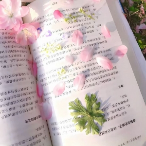 ୭ 🍪 ✧ᴍɪɴɪ ᴋᴘᴏᴘ sᴛᴀɴ˚. ᵎᵎ 🧋's avatar