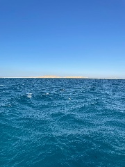 Nele🤪😘's avatar