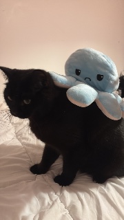 Juste_une_meuf's avatar