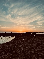 Sophi🌺💫's avatar