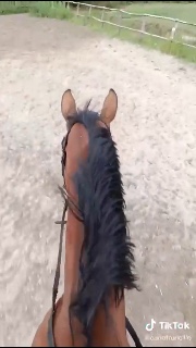 Mineruhorse's avatar