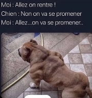 🙂on parle🙃's avatar