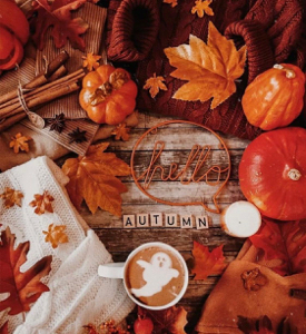 𝐋𝐞𝐬 𝟐 𝐅𝐨𝐥𝐥𝐞𝐬's avatar