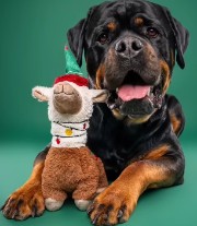 Maliyah136❤️'s avatar