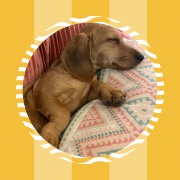 La vie d’Abby's avatar