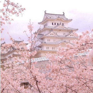 𝑮𝒊𝒓𝒍 𝑨𝒆𝒔𝒕𝒉𝒆𝒕𝒊𝒄's avatar