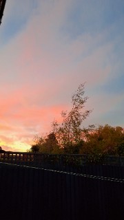 admin2averyX's avatar