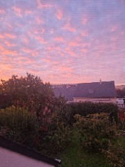  ⚡~Mila~⚡'s avatar