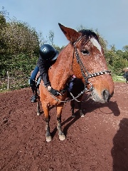 Manon_ Soledad ✨🫦🫶🏻's avatar