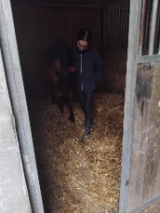 🌾🫧 Maely 🐆🪽's avatar