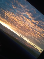 ✨La louve ✨'s avatar