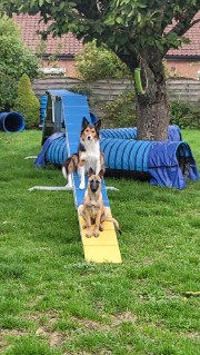 TicticLove 's avatar