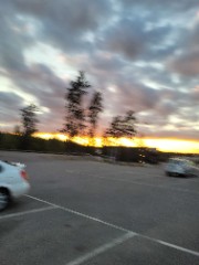 𐙚•𝐌𝐚𝐣𝐤𝐞𝐧✨️🤍🌸's avatar