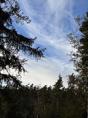 𝐕ℯ𝓂 𝒶𝓃𝓃𝒶𝓇𝓈?'s avatar