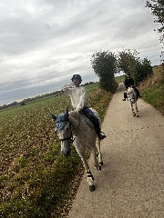 Gwen_talista>>'s avatar