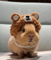 GlowGirl💕's avatar