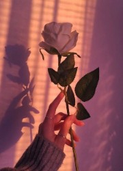 🌸🍂just girl🍂🌸's avatar