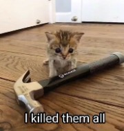 AKEMI_IS_HERE!<3's avatar