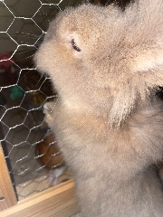 𓂃₊˚⊹ 1 𝒜utistic 𝒢irl 🫧's avatar