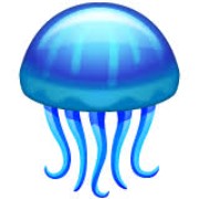 Méduse #lotus's avatar